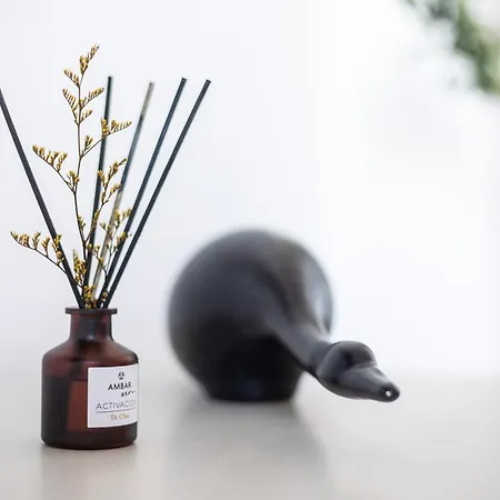 Escalera 10 - Vut4693as Lägenhet *